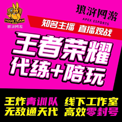 王者荣耀代打代练大小国标排位上分车队带上分战力巅峰赛陪玩陪练