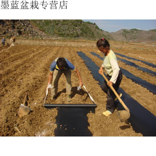 春枝韵农用白色透明塑料布塑料薄膜黑色地膜中膜加厚膜无滴大棚塑
