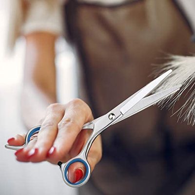 Mr. Pen- Hair Scissors  Haircut Scissors Professional  Hair