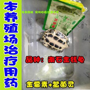 乌龟药 鳖菌灵(疥疮灵)南石龟巴西鳄龟 治腐皮外伤/烂甲白点/疥疮