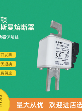 全新快速熔断器保险170M3188 170M3189 170M3190 170M3191