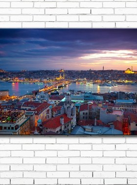 Turkey Istanbul city landscape canvas printings oil paintin