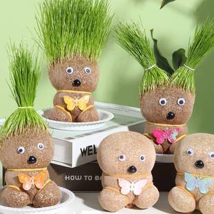 草头娃娃易活儿童观察小盆栽头上长草室内桌面装饰趣味水培绿植物