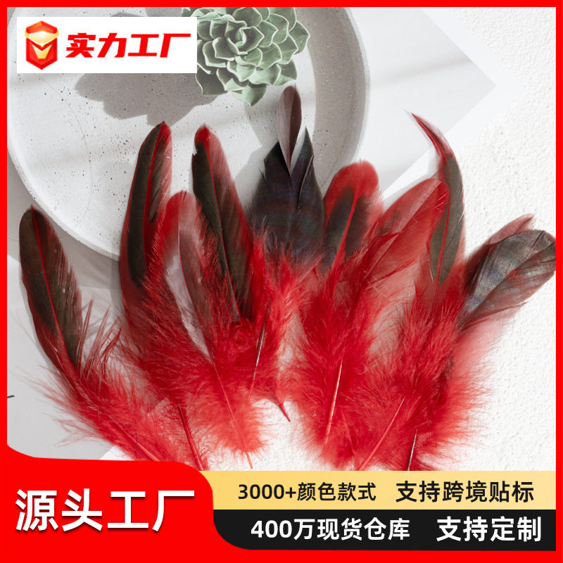 50支/套羽毛 彩色10-15公鸡尾巴毛真鸡毛diy毽子手工制作材料