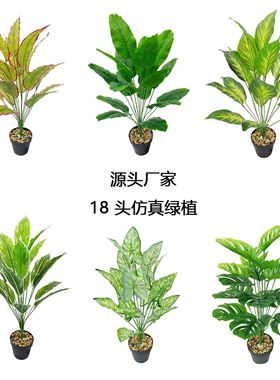 跨境仿真绿植盆栽18头龟背竹春雨叶万年青假植物盆景家居景观造景