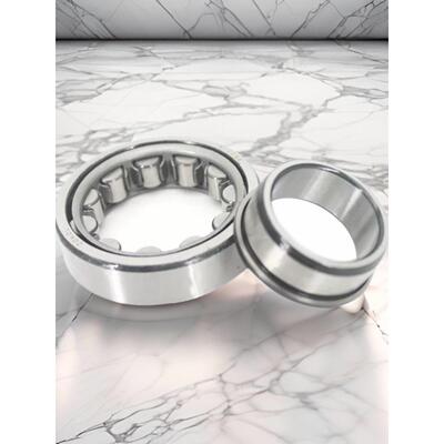 ZOKOL【轴承】NJ305 306 307 308 309 310 311 312 313 314 315EM