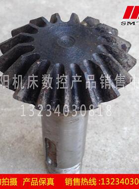 齐齐哈尔二机厂铣床配件 X5032 机床配件 7244 伞齿轮 Z17 L95