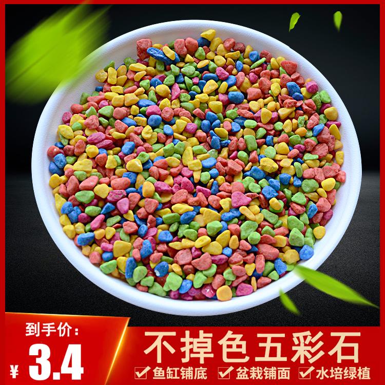 多肉园艺用品鱼缸石子五彩色石头彩石七彩色小石子沙子花盆栽装饰