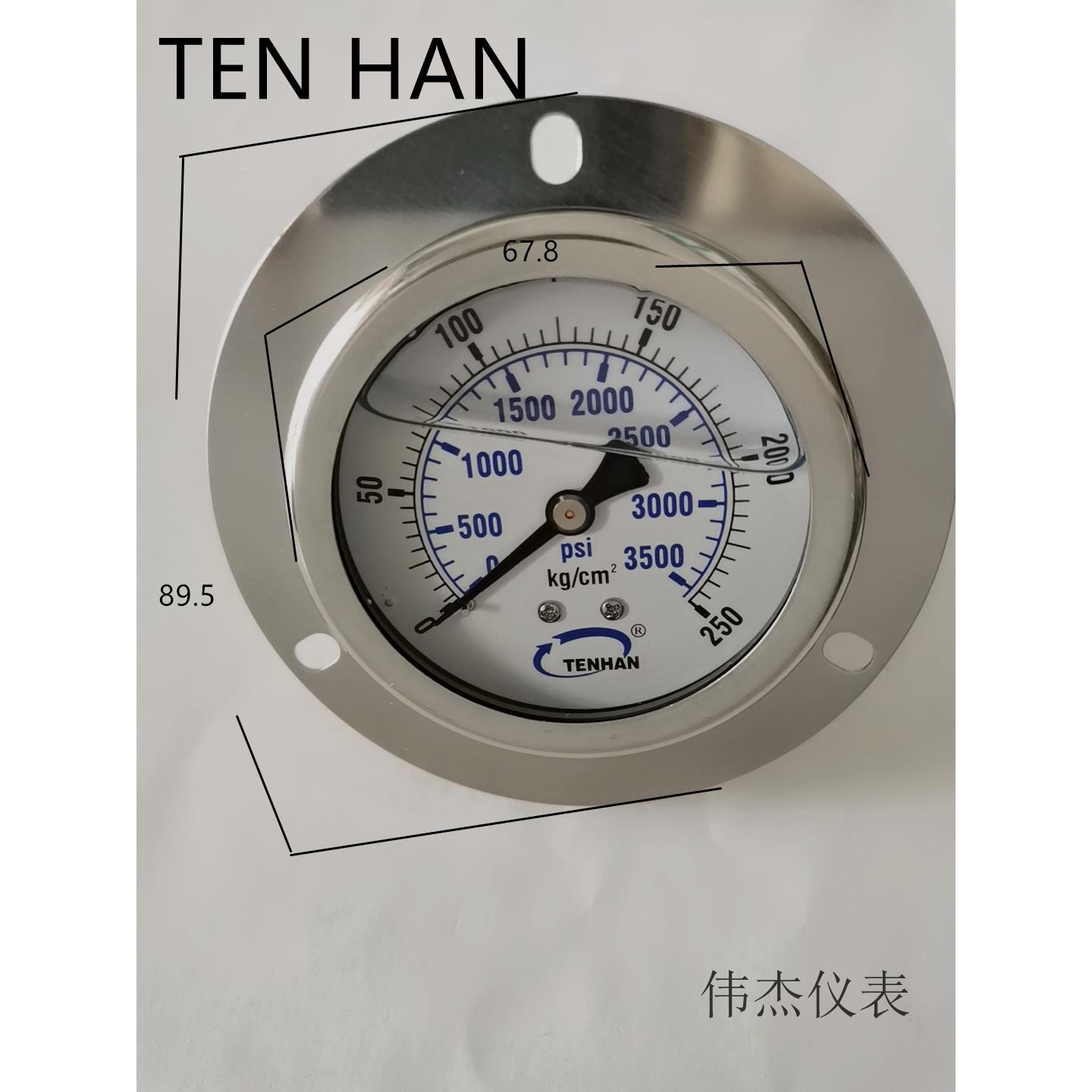 TENHAN耐震压力表YN60ZT-250/400kg轴向不锈钢油压表PF1/4注塑机