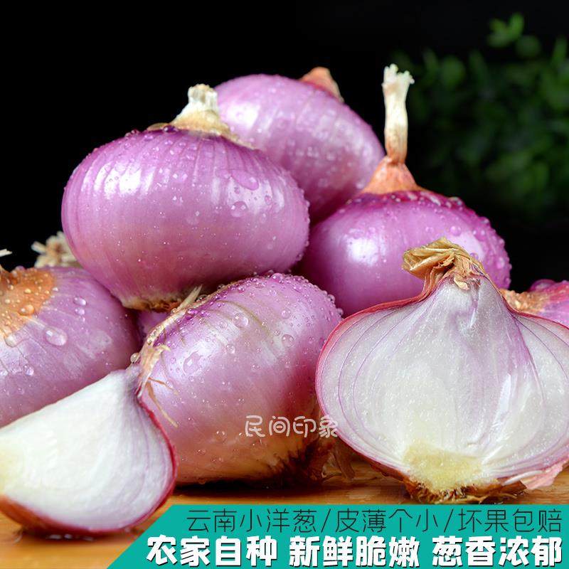 洋葱毛葱头新鲜蔬菜迷你圆红小葱头珍珠小洋葱缅甸特产农家鬼子葱