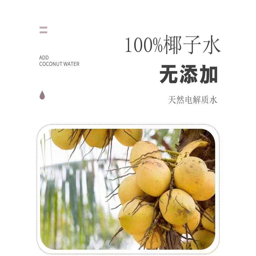 百优果100%椰子水椰子饮料0脂肪0卡路里0添加天然电解质夏季饮料
