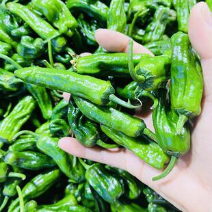江西特产余干枫树辣椒丰收辣椒嫩香辣脆爽开胃下饭 包邮