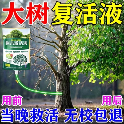 树木营养液吊针激活丨800+人付款