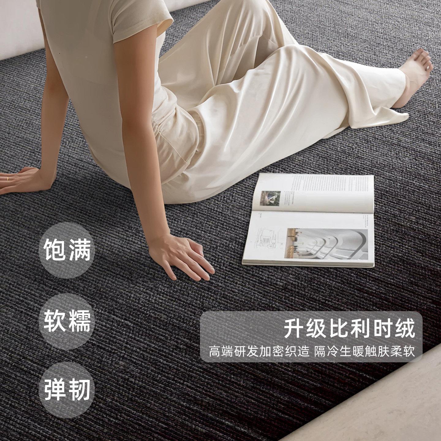 轻可奢高级客厅地毯边卧室洗擦床毯沙发茶OLSKTD25几耐脏防滑可定