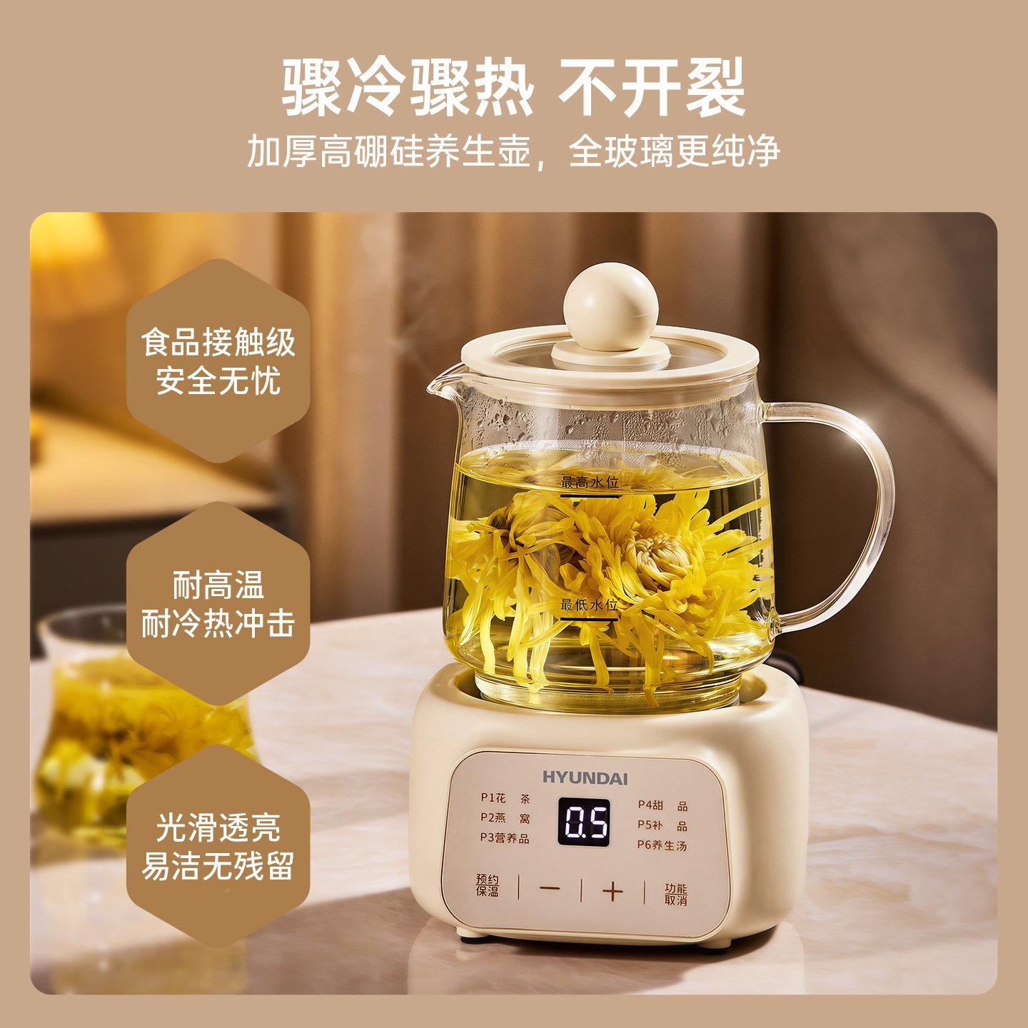 HYUNDA舍I养生办公室壶宿小型玻璃养生家用保温全自动煮杯BG-YSB2