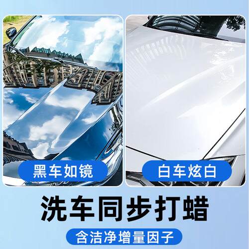 龟牌洗车液蜡力去污泡沫洗车强白色汽车专水用清洁剂溶解XTC5603