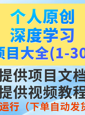 Python深度学习项目系统大全1-30（看好序号进行选择下单）