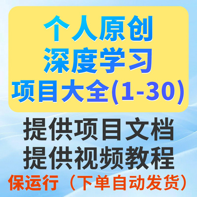 Python深度学习项目系统大全1-30（看好序号进行选择下单）