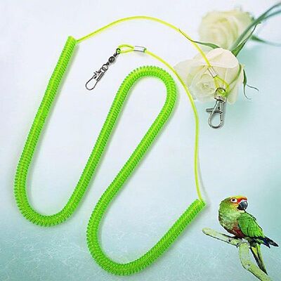 好货Hot Sale Parrot Bird Leash Flying Training Rope Straps P