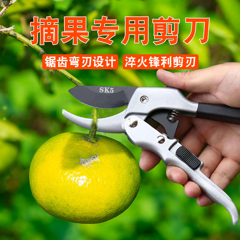 极速德国进口艺园修枝剪刀剪水果剪树枝专用剪刀园林家用花卉sk5