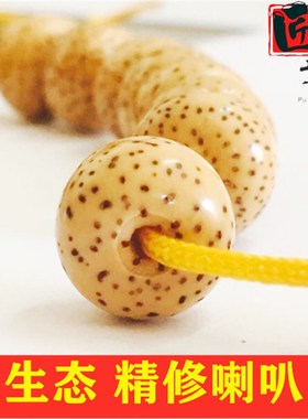 海南原生态十年陈籽手串收藏级星月菩提子108颗正月老料 手链男女