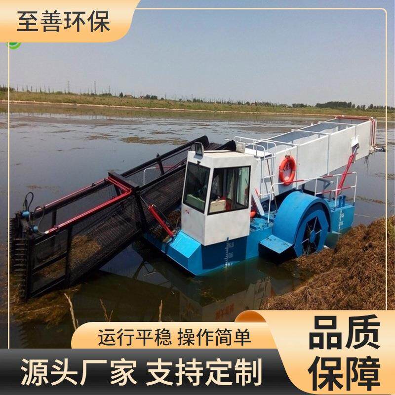 中型全自动割草船 水葫芦收集船 水生植物收割船 浒苔蓝藻打捞船