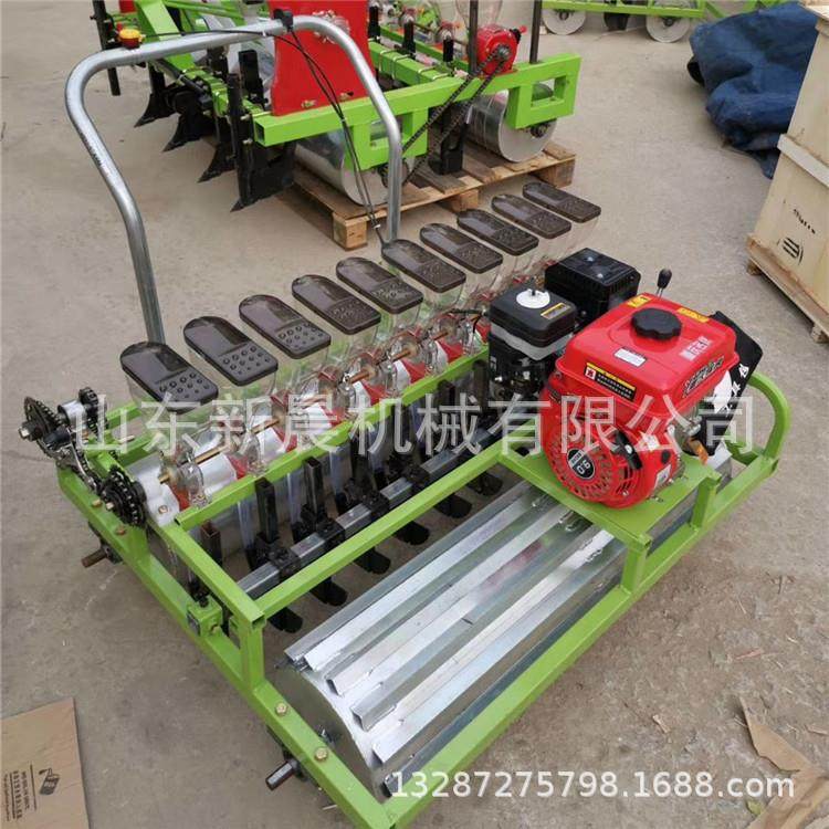 小颗粒茼蒿播种机 双行10行油菜精播机辣椒白菜精播机,农机/农具/农膜,播种栽苗器/地膜机,淘宝优惠券,粉丝福利购,淘宝优惠卷