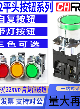 自复位带灯按钮开关XB2BW33B1C/34M1C绿色常开平钮圆形红24V220V