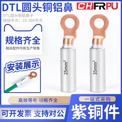 菲尔浦DTL圆头铜铝鼻铜接线耳