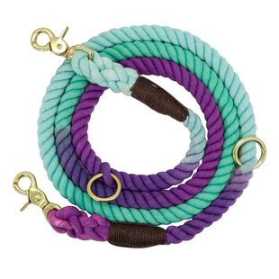 Pet 极速Multifunctional Leash Nylon Walking Dog