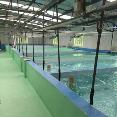 极速饮用水池鱼池水池水泥纳米黑色防水漆防碱防水水池漆水池放水