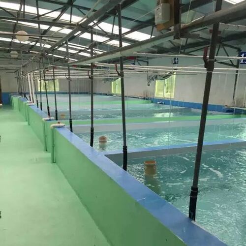 极速饮用水池鱼池水池水泥纳米黑色防水漆防碱防水水池漆水池放水