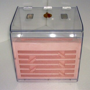 新款压克力石膏蚁巢 I蚂蚁工坊 蚂蚁窝城堡部落牧场家园