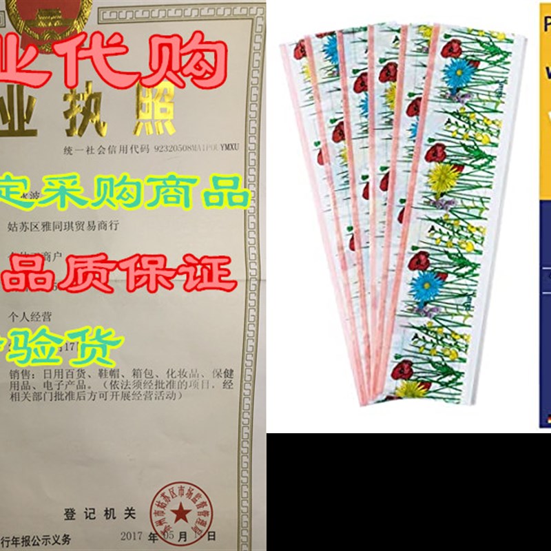 Window Fly Traps  Pack of 6 Traps  Indoor Fly Catcher