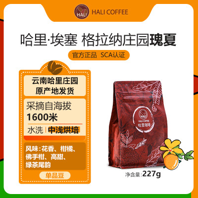 HALICOFFEE精品瑰夏中浅烘培