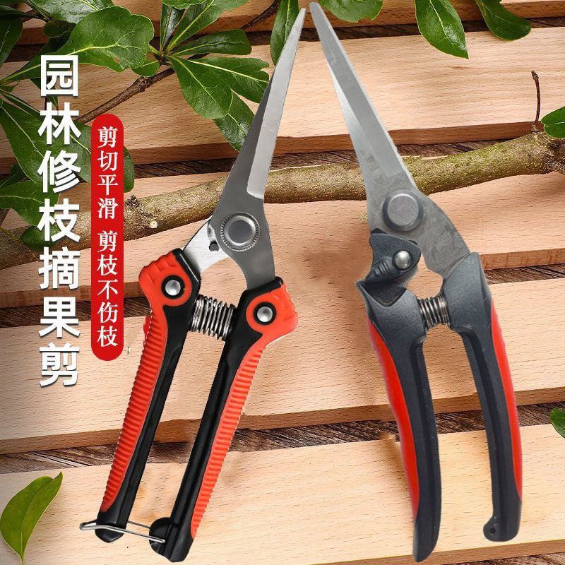 摘果剪花园果树专用园林修花剪家用蔬果稀果锋利剪刀农用修剪树枝