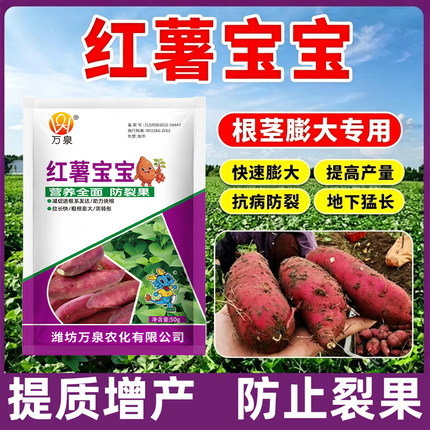 红薯膨大增产剂地下根茎膨大素猛长专用增大控旺防裂果增多膨大剂