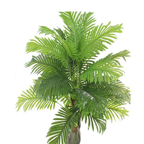 仿真植物头小葵羽071树过胶棕榈科葵叶细五葵叶叶毛葵落地盆景