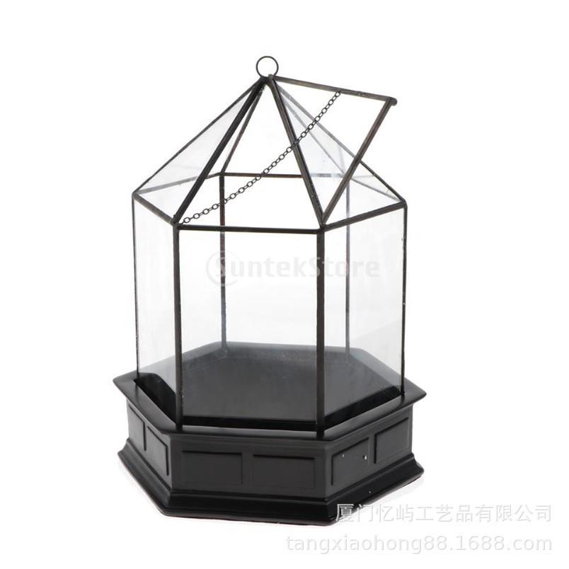 微雨林缸多肉植物保室养花玻璃花房玻盒艺内术璃盆景玻型YTZ璃花