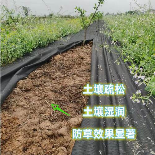 果树新型防草布除草布农用地布果园遮草布耐O用可降解透气保湿地