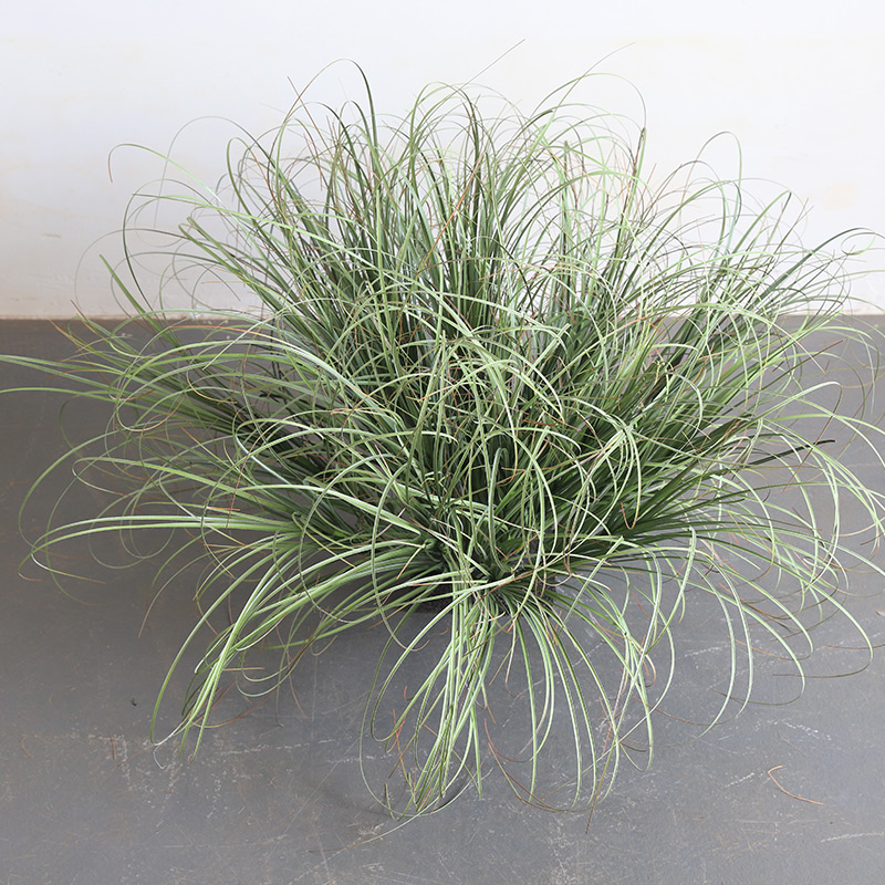 仿真草垛假草绿植摆件o造景装饰景观制作绿草植物草丛团草软装道