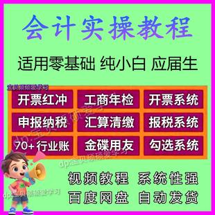 2025新会计实务实操 做账报税教程出纳系统教程视频手工真账