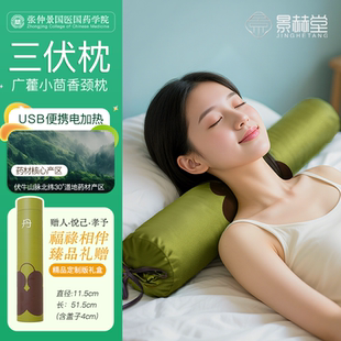 电加热颈椎枕广藿小茴香颈枕肩颈椎热敷枕头艾草荞麦养生草本护颈