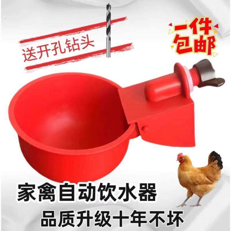 喂鸡食槽水槽一体喂鸡懒人神器出远门农村自动喂鸡家禽养殖小鸡鸭