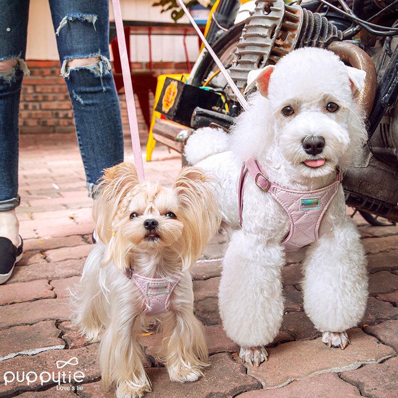 小体犬幼犬牵引绳小狗狗约克夏马尔济斯专用胸背带背心式遛狗绳子