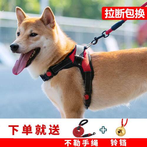 狗狗牵引绳大中小型犬狗链子胸背带泰迪拉布拉多柯基项圈宠物用品