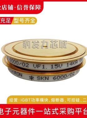 SKN4000/02SKN4000/04SKN4000/06SKN6000/02平板晶闸管