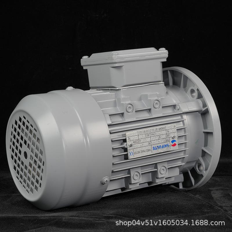 SAIFULTE/赛孚.欧斯特陶瓷行业常用电机YE3-100L2-4/B5/3KW