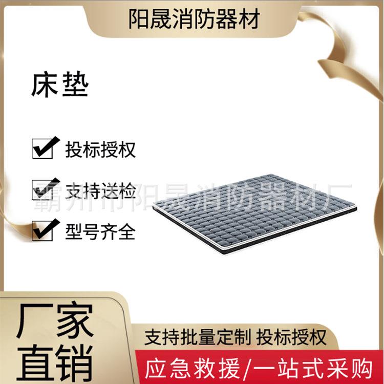 可折叠环保乳胶棕榈垫救灾物资应急床垫家用加厚透气床垫子