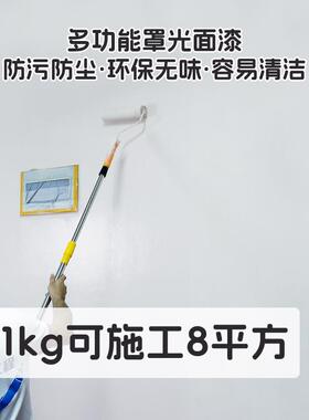 水性罩面漆透明室内墙面光油真石漆乳胶漆墙绘保护漆外墙罩光漆哑